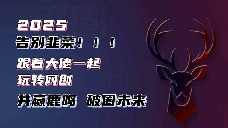 （13896期）告别韭菜！2025知识付费风口项目，小白也能闭眼操作！-阿光创业网