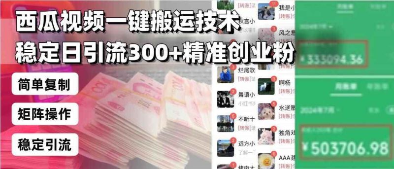 （13961期）西瓜视频一键搬运技术，稳定日引流300+精准创业粉，简单可复制给团队，…-阿光创业网