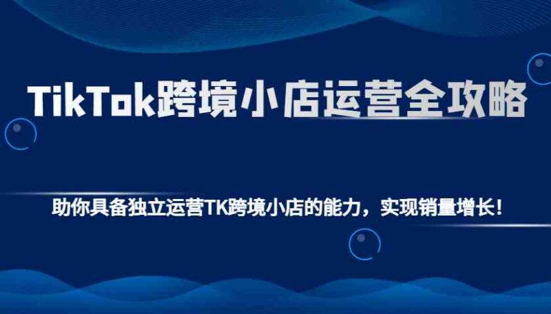 TikTok跨境小店运营全攻略:助你具备独立运营TK跨境小店的能力,实现销量增长!-阿光创业网
