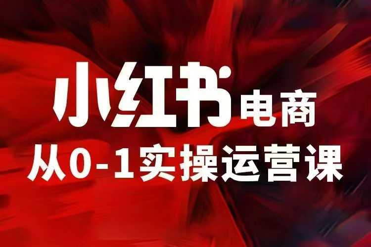 小红书电商运营，97节小红书vip内部课，带你实现小红书赚钱-阿光创业网