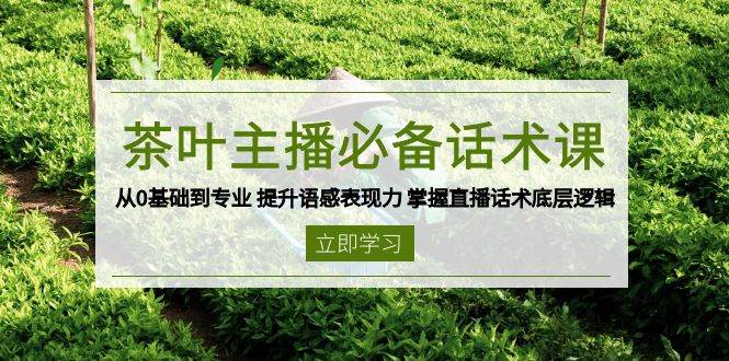 茶叶主播必备话术课 从0基础到专业 提升语感表现力 掌握直播话术底层逻辑-阿光创业网