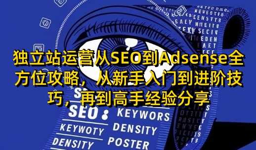 独立站运营从SEO到Adsense全方位攻略，从新手入门到进阶技巧，再到高手经验分享-阿光创业网